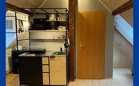 Modernes 1-Raum-Apartment